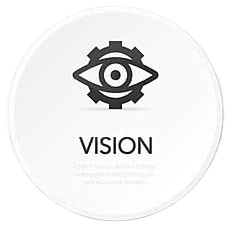 Vision